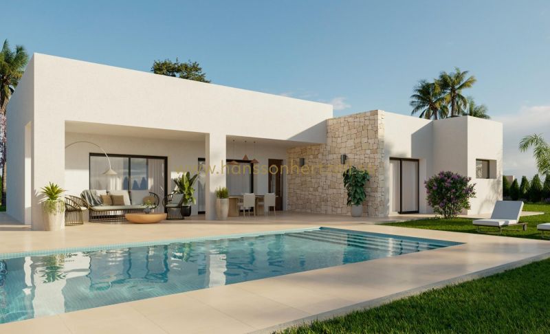 Chalet - Nueva construcción  - Aspe	 - Poligono 19