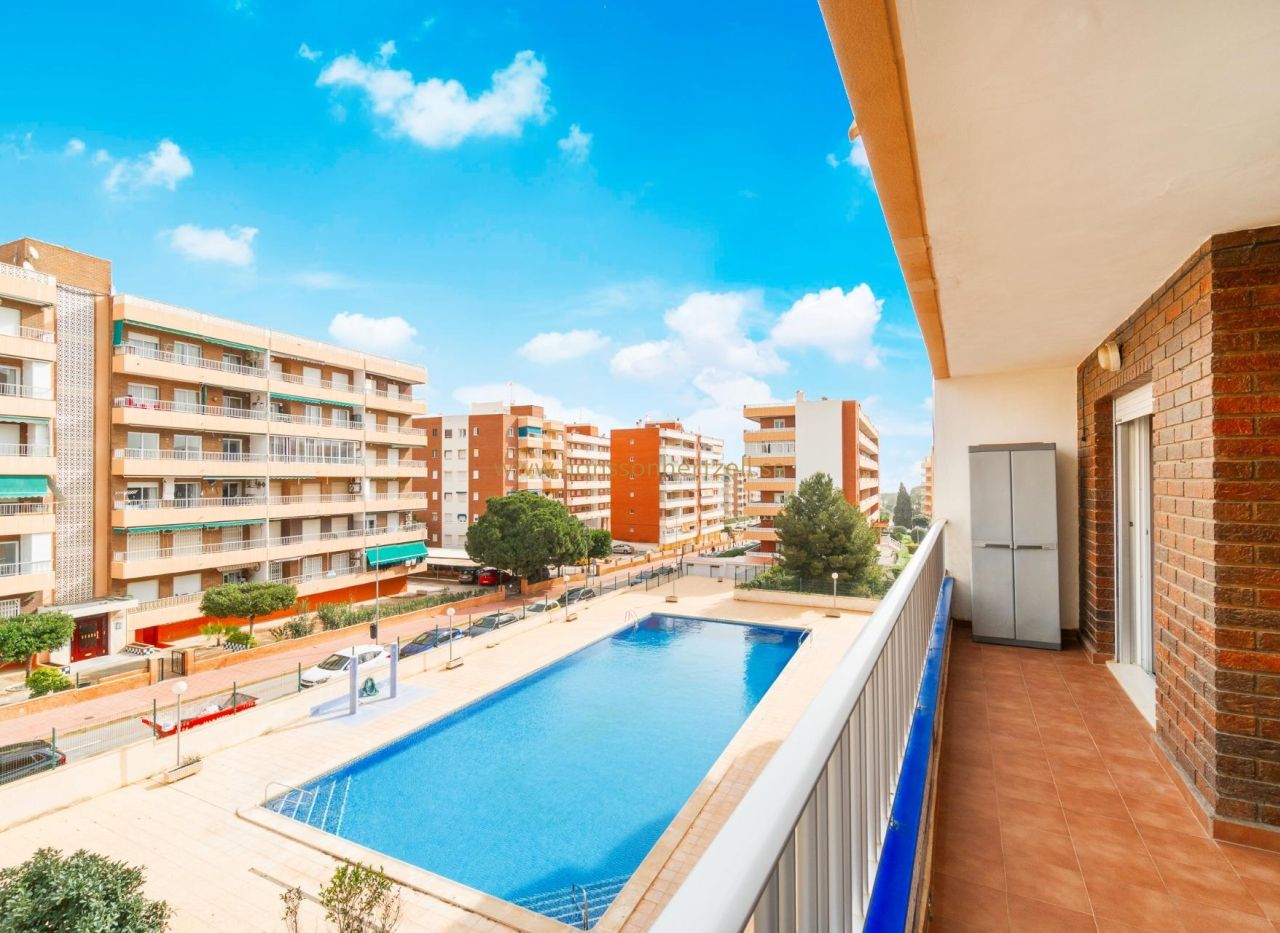 Försäljning - Lägenhet - Torrevieja