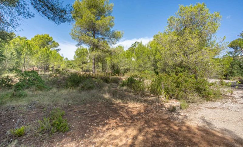 Ground - Försäljning - Javea - Pinosol