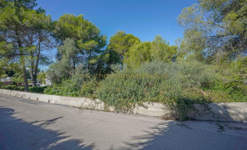 Ground - Sale - Javea - Portichol