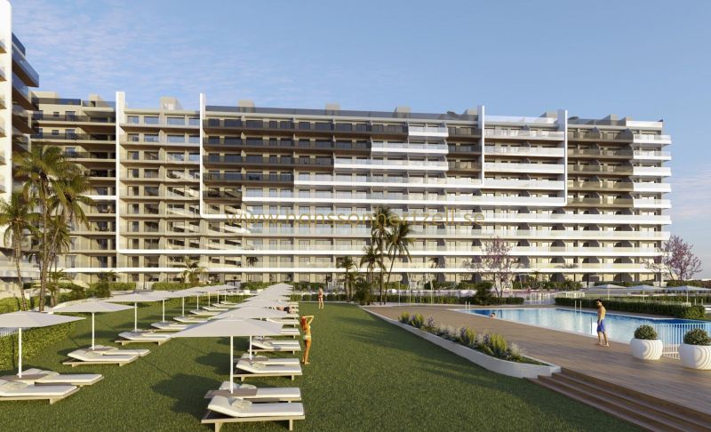 Apartment - New Build - Torrevieja  - Punta prima