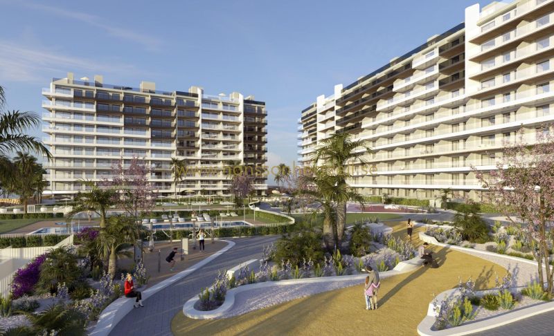 Apartment - New Build - Torrevieja  - Punta prima
