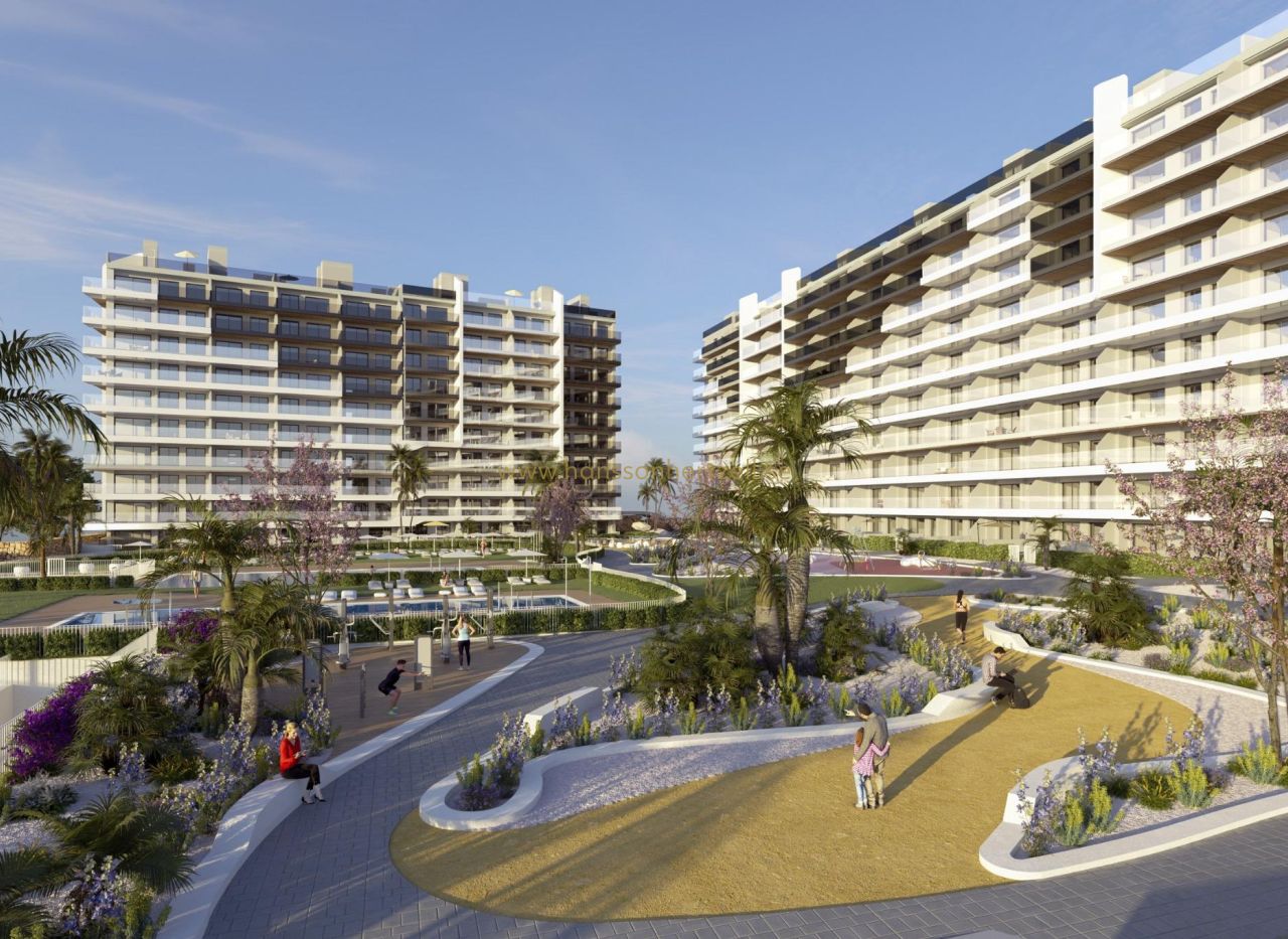 New Build - Appartement - Torrevieja  - Punta Prima