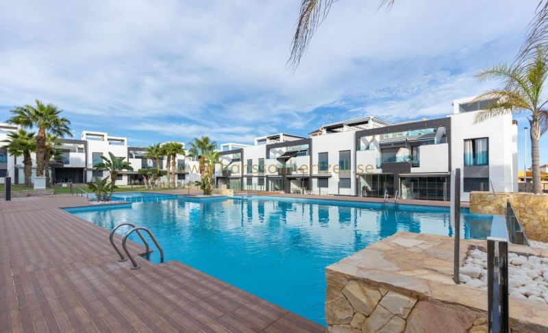 Apartamento - Venta - Punta Prima - Punta Prima