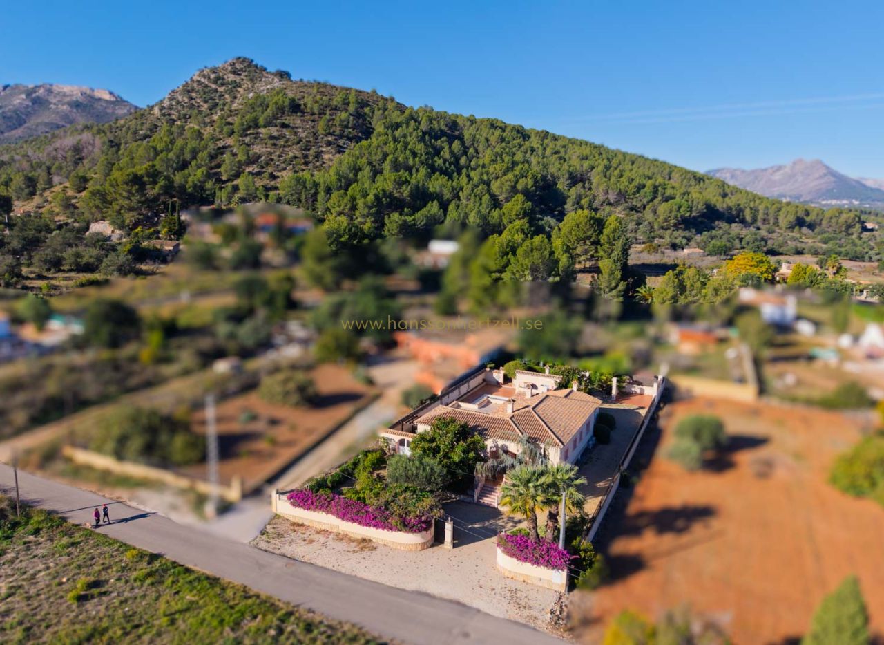 Sale - Villa - Jalon