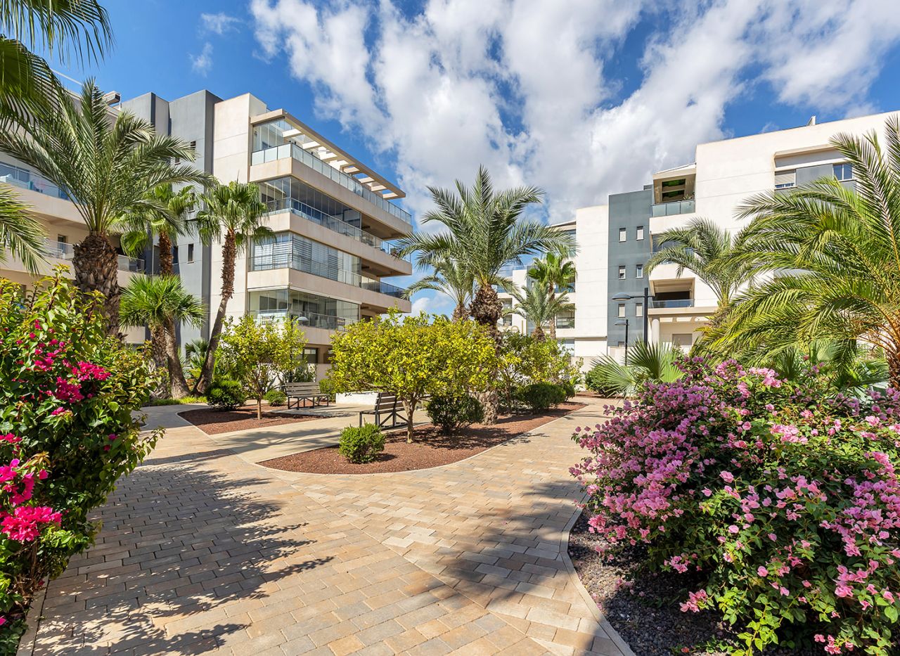 Sale - Apartment - Orihuela Costa - Villamartin 
