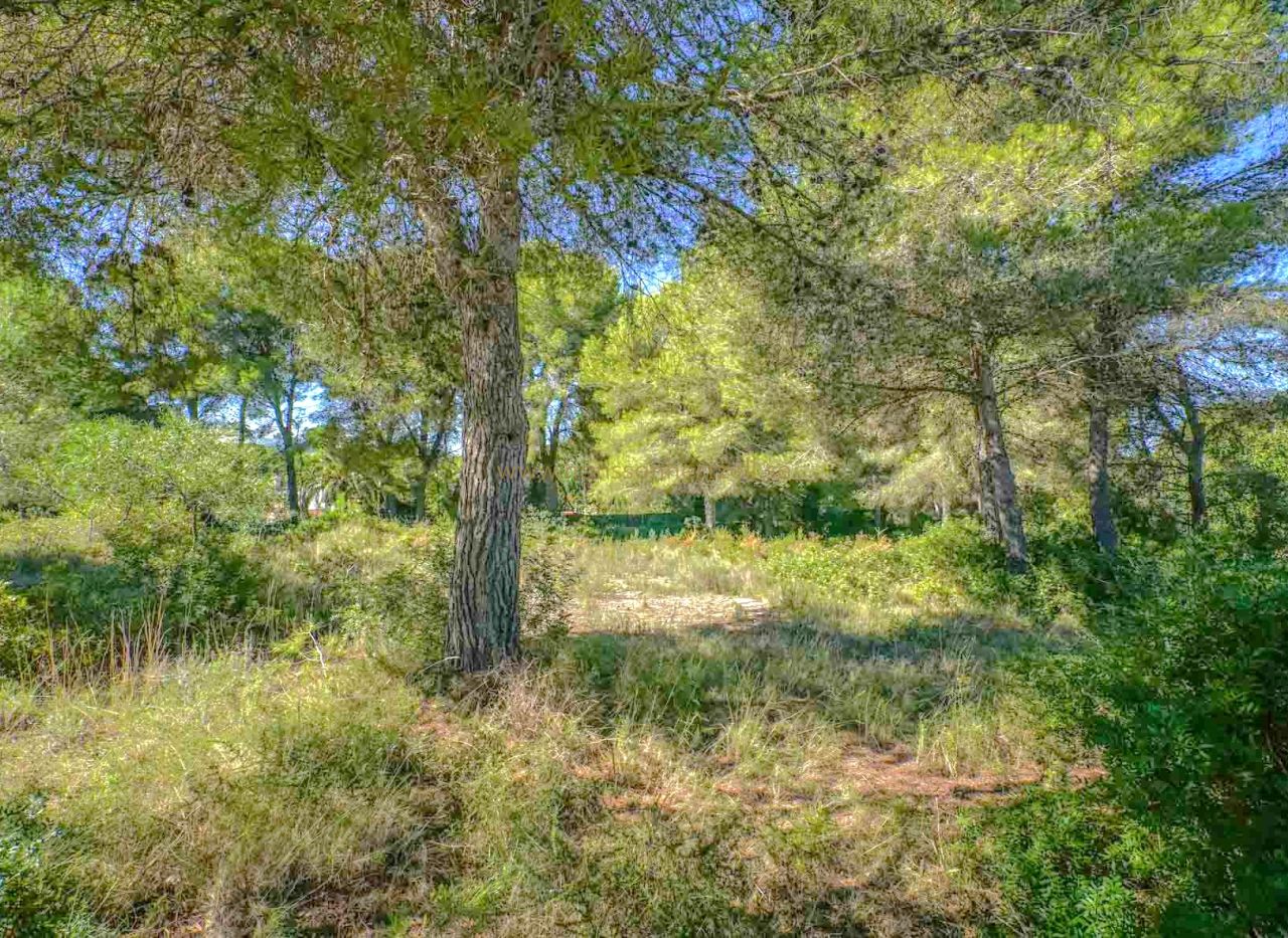 Sale - Land - Javea - Portichol