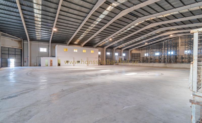 Commercieel - Long time Rental - Pilar de la Horadada - Polígono industrial Cañada de Práez