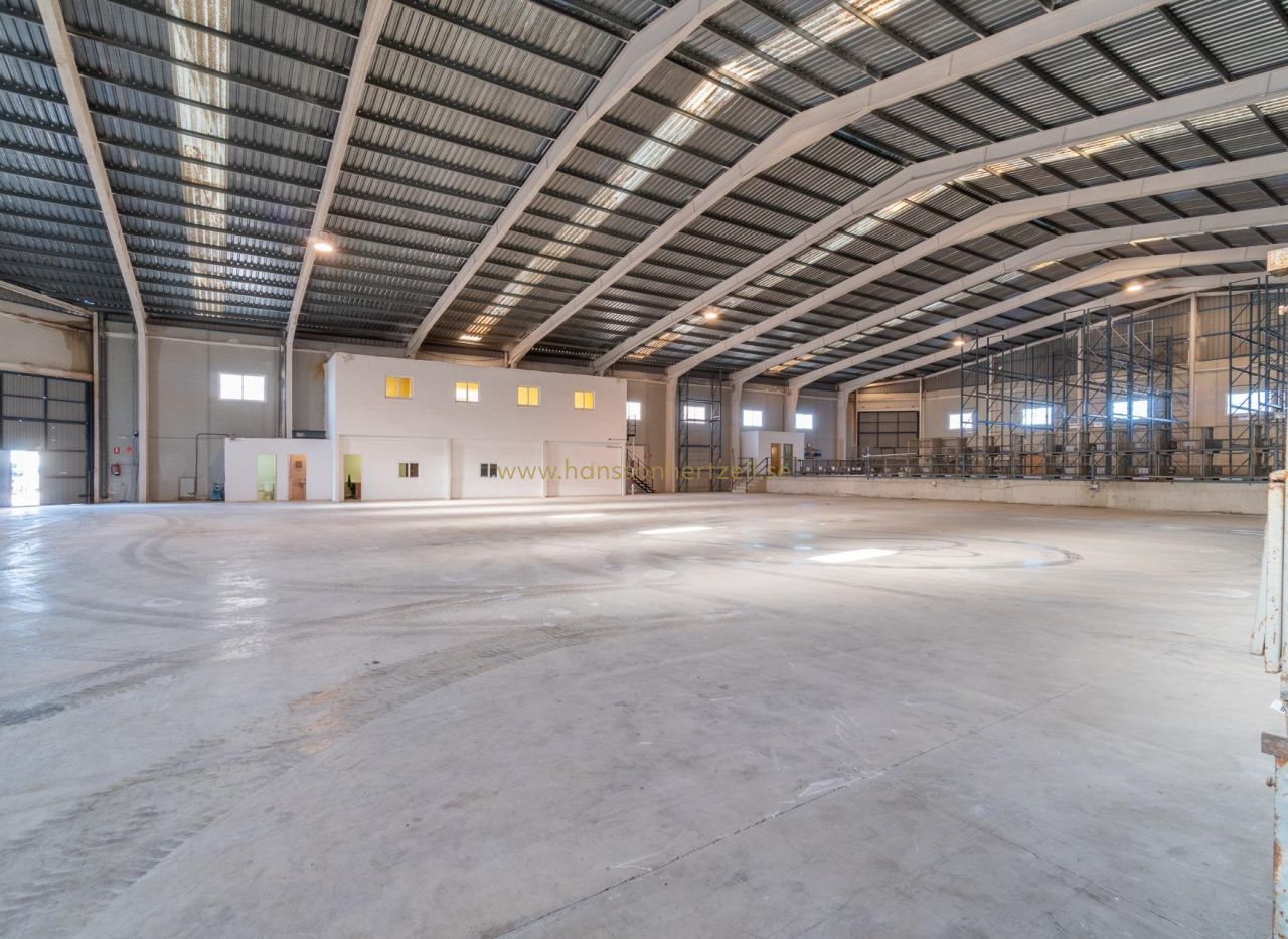 Long time Rental - Commercieel - Pilar de la Horadada - Polígono industrial Cañada de Práez