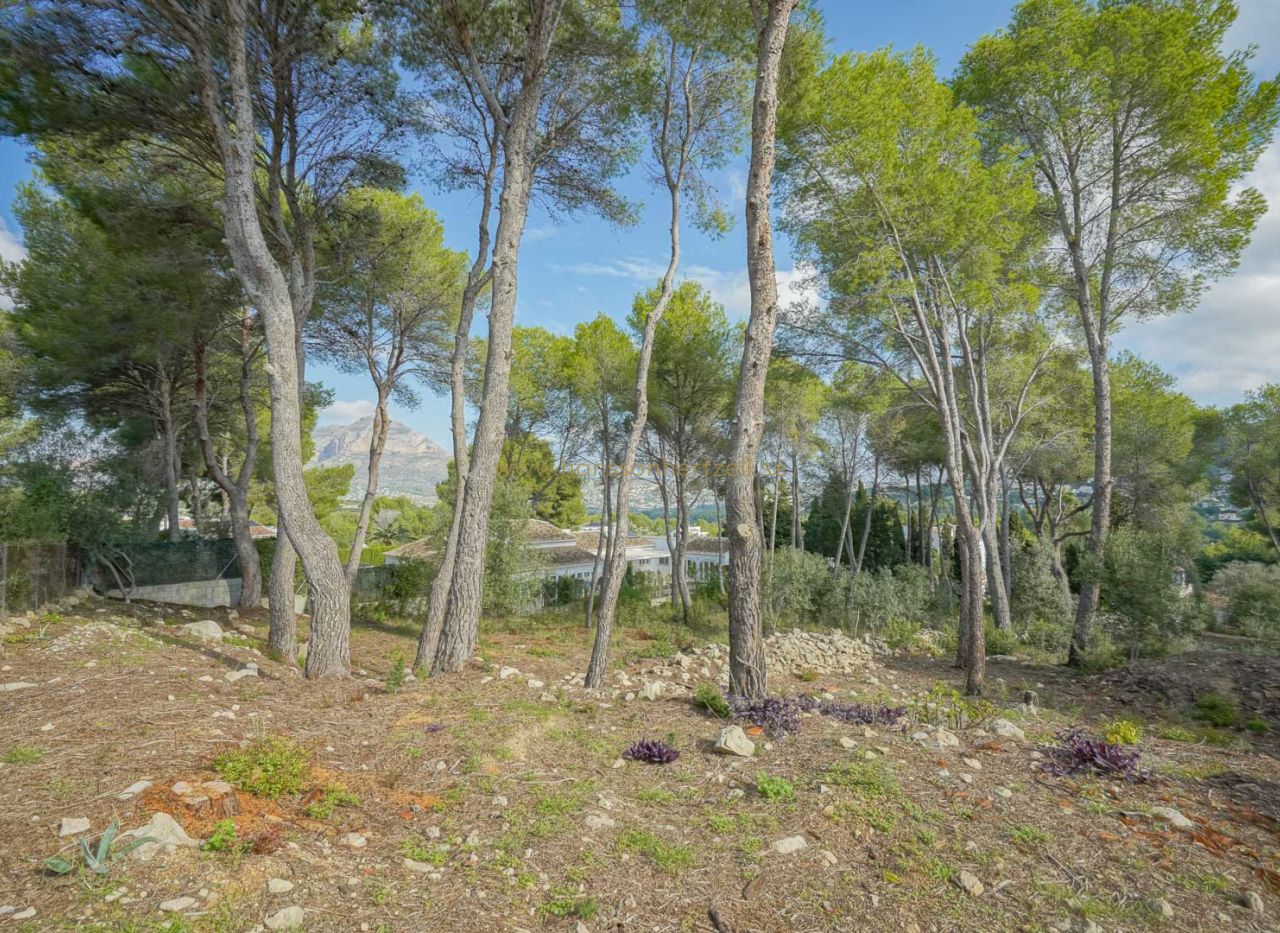 Försäljning - Land - Javea - La Lluca