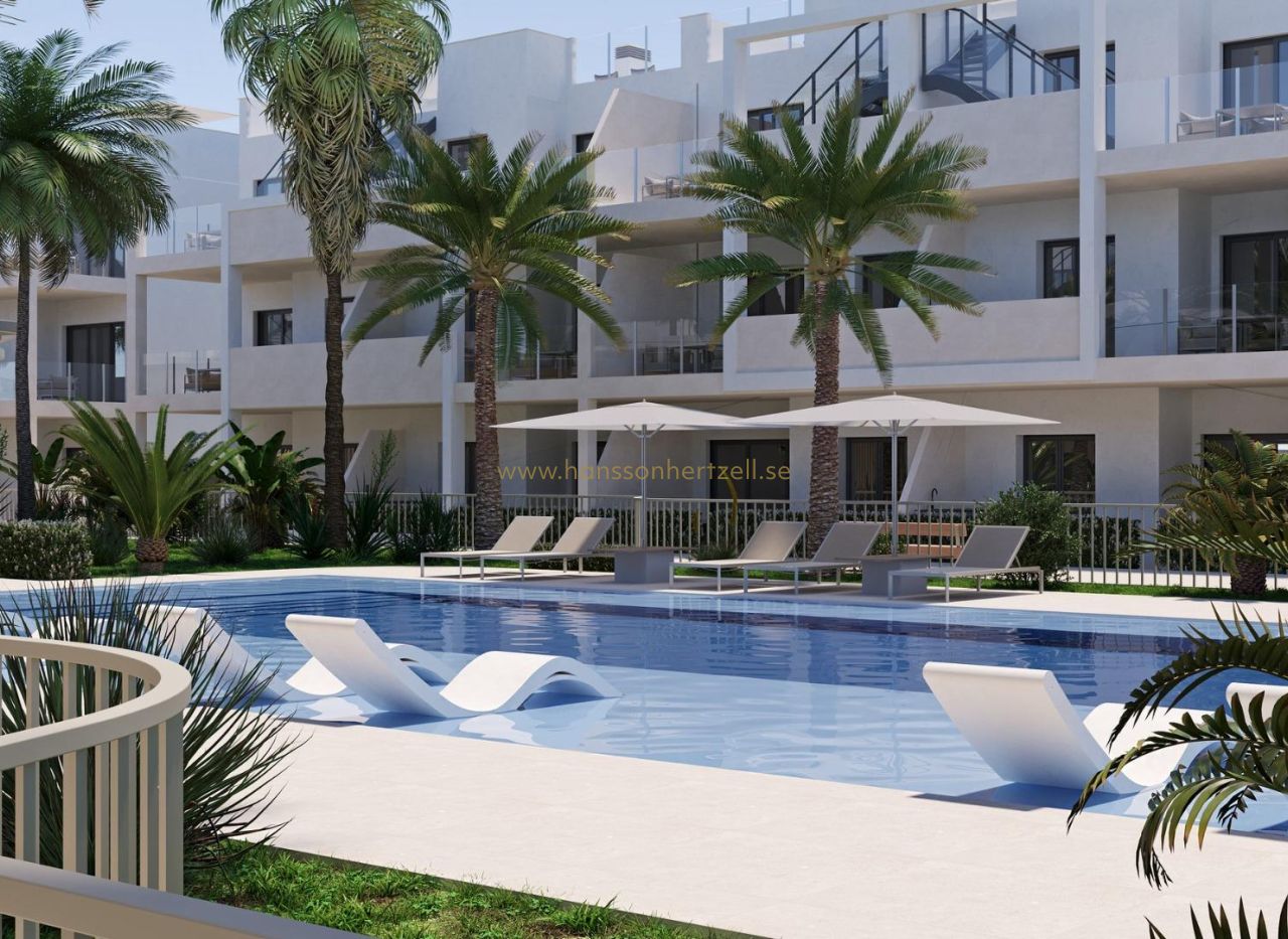 New Build - Appartement - Torre Pacheco - San Cayetano