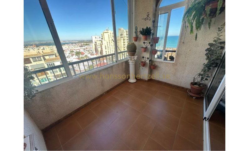 Apartment - Sale - Torrevieja  - La Mata