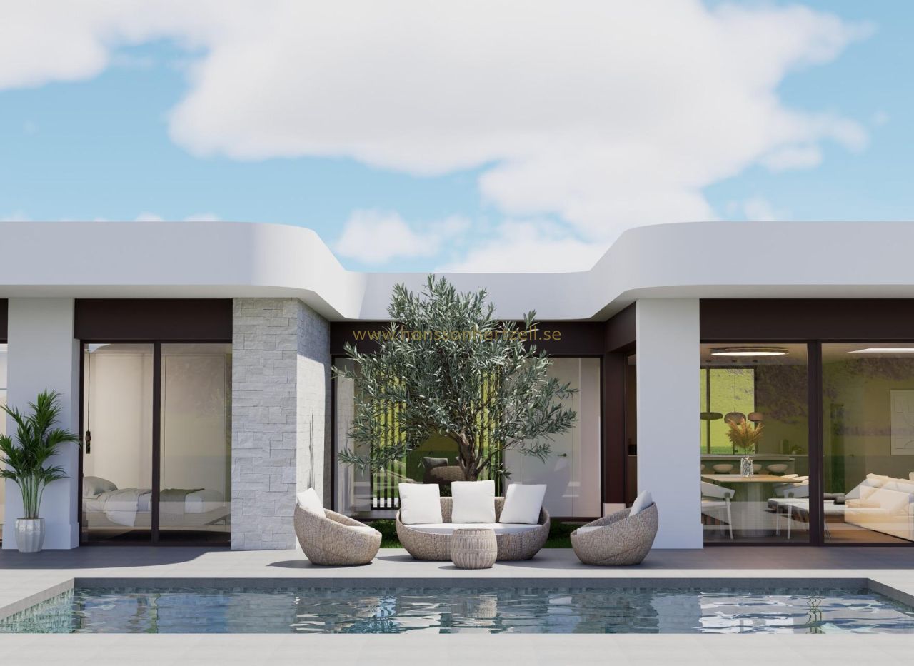 Nybyggnad - Villa - Pinoso - Lel