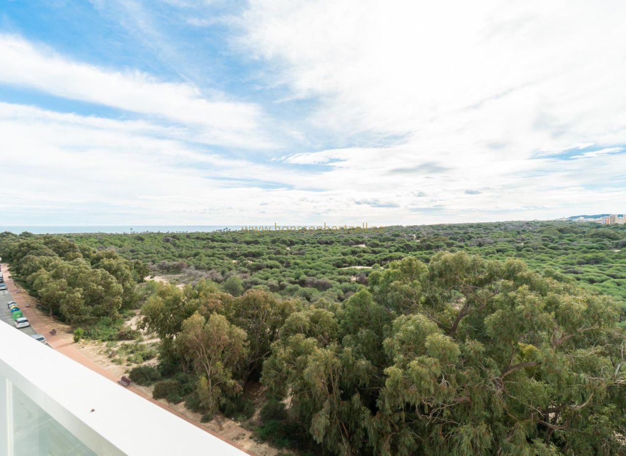 Sale - Appartement - Guardamar  - Puerto Deportivo