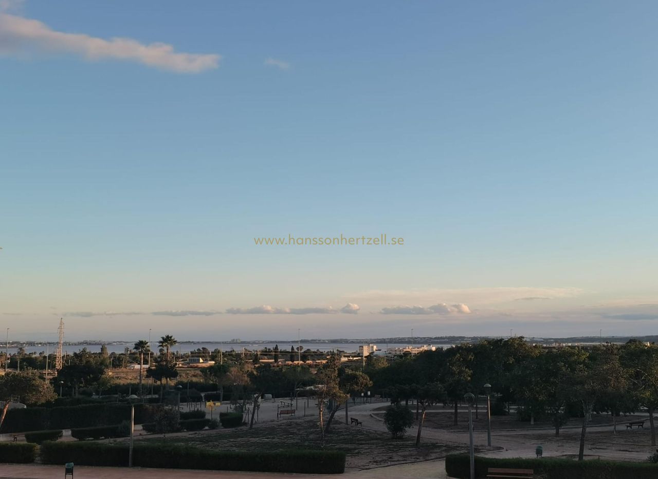 Nybyggnad - Villa - Los Montesinos  - La herrada