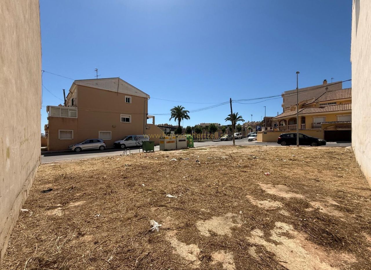 Sale - Plot - San Miguel De Salinas - CENTRO URBANO