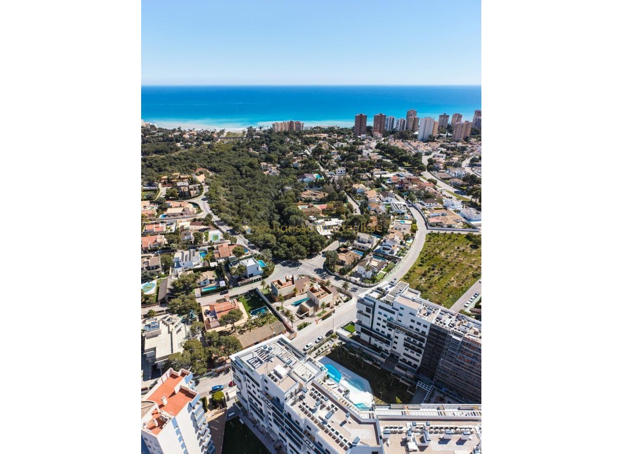 New Build - Villa - Orihuela Costa - Dehesa de Campoamor 
