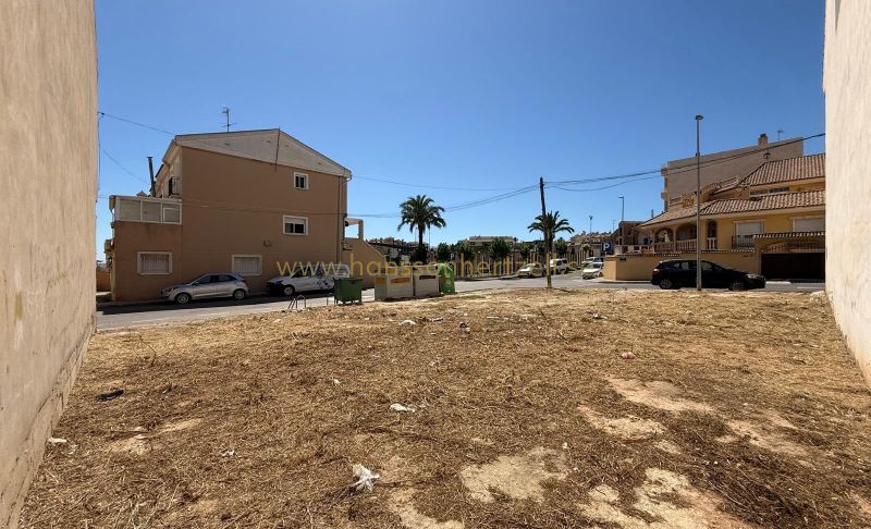Tomt - Försäljning - San Miguel De Salinas - CENTRO URBANO