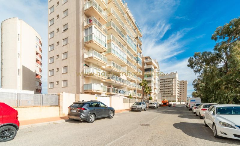 Apartment - Sale - Guardamar  - Puerto Deportivo